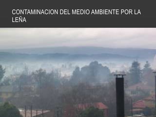 CONTAMINACION DEL MEDIO AMBIENTE POR LA
LEÑA
 