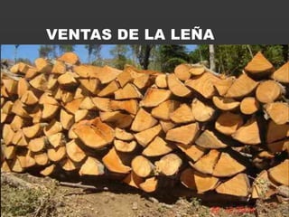 VENTAS DE LA LEÑA
 