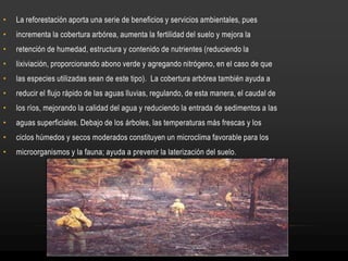 • La reforestación aporta una serie de beneficios y servicios ambientales, pues
• incrementa la cobertura arbórea, aumenta la fertilidad del suelo y mejora la
• retención de humedad, estructura y contenido de nutrientes (reduciendo la
• lixiviación, proporcionando abono verde y agregando nitrógeno, en el caso de que
• las especies utilizadas sean de este tipo). La cobertura arbórea también ayuda a
• reducir el flujo rápido de las aguas lluvias, regulando, de esta manera, el caudal de
• los ríos, mejorando la calidad del agua y reduciendo la entrada de sedimentos a las
• aguas superficiales. Debajo de los árboles, las temperaturas más frescas y los
• ciclos húmedos y secos moderados constituyen un microclima favorable para los
• microorganismos y la fauna; ayuda a prevenir la laterización del suelo.
 