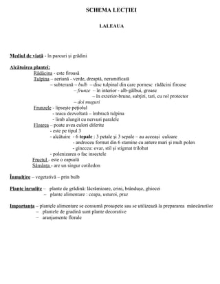 SCHEMA LECŢIEI
LALEAUA
Mediul de viaţă - în parcuri şi grădini
Alcătuirea plantei:
Rădăcina - este firoasă
Tulpina – aeriană - verde, dreaptă, neramificată
– subterană – bulb – disc tulpinal din care pornesc rădăcini firoase
– frunze – în interior - alb-gălbui, groase
– în exterior-brune, subţiri, tari, cu rol protector
– doi muguri
Frunzele - lipseşte peţiolul
- teaca dezvoltată – îmbracă tulpina
- limb alungit cu nervuri paralele
Floarea – poate avea culori diferite
- este pe tipul 3
- alcătuire - 6 tepale : 3 petale şi 3 sepale – au aceeaşi culoare
- androceu format din 6 stamine cu antere mari şi mult polen
- gineceu: ovar, stil şi stigmat trilobat
- polenizarea o fac insectele
Fructul - este o capsulă
Sămânţa - are un singur cotiledon
Înmulţire – vegetativă – prin bulb
Plante înrudite – plante de grădină: lăcrămioare, crini, brânduşe, ghiocei
– plante alimentare : ceapa, usturoi, praz
Importanţa – plantele alimentare se consumă proaspete sau se utilizează la prepararea mâncărurilor
– plantele de gradină sunt plante decorative
– aranjamente florale
 