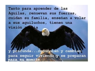 La leccion del aguila