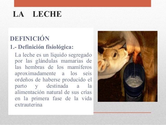prima hembra chorreo de leche prima hembra chorreo de leche