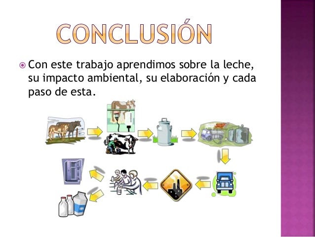 Proceso de elaboración de la leche