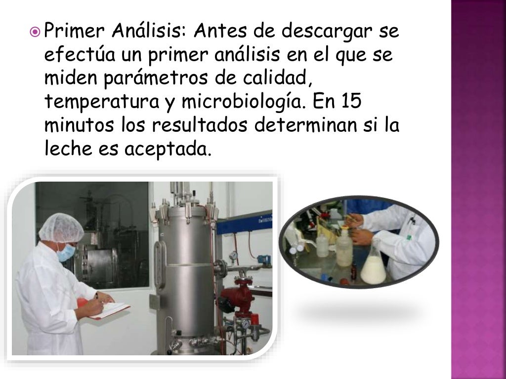 Proceso de elaboración de la leche