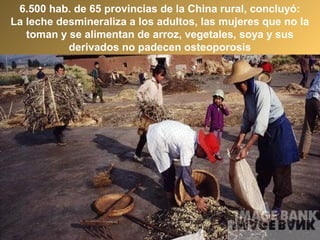 6.500 hab. de 65 provincias de la China rural, concluyó:
La leche desmineraliza a los adultos, las mujeres que no la
toman y se alimentan de arroz, vegetales, soya y sus
derivados no padecen osteoporosis
 