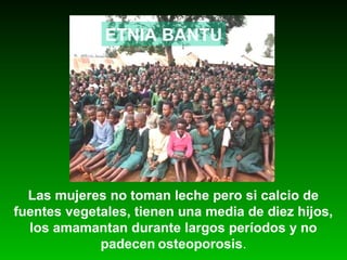 Las mujeres no toman leche pero si calcio de
fuentes vegetales, tienen una media de diez hijos,
los amamantan durante largos períodos y no
padecen osteoporosis.
ETNIA BANTU
 