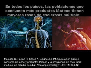 En todos los países, las poblaciones que
consumen más productos lácteos tienen
mayores tasas de esclerosis múltiple
Malosse D, Perron H, Sasco A, Seigneurin JM. Correlación entre el
consumo de leche y productos lácteos y la prevalencia de esclerosis
múltiple: un estudio mundial. Neuroepidemiology 1992; 11: 304-12
 