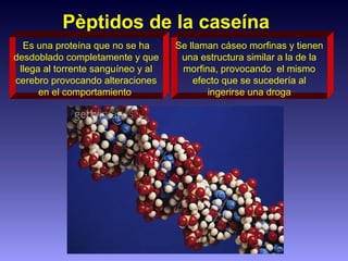 Pèptidos de la caseína
Es una proteína que no se ha
desdoblado completamente y que
llega al torrente sanguíneo y al
cerebro provocando alteraciones
en el comportamiento.
Se llaman cáseo morfinas y tienen
una estructura similar a la de la
morfina, provocando el mismo
efecto que se sucedería al
ingerirse una droga
 
