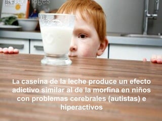 La caseína de la leche produce un efecto
adictivo similar al de la morfina en niños
con problemas cerebrales (autistas) e
hiperactivos
 