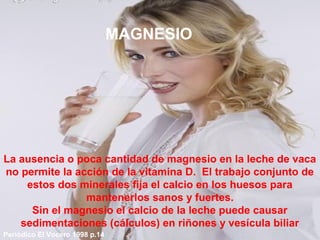 MAGNESIO
La ausencia o poca cantidad de magnesio en la leche de vaca
no permite la acción de la vitamina D. El trabajo conjunto de
estos dos minerales fija el calcio en los huesos para
mantenerlos sanos y fuertes.
Sin el magnesio el calcio de la leche puede causar
sedimentaciones (cálculos) en riñones y vesícula biliar
Periòdico El Vocero 1998 p.14
 