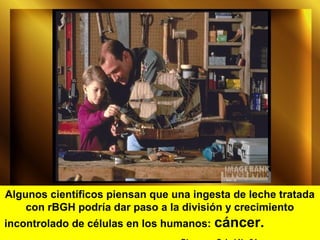 Algunos científicos piensan que una ingesta de leche tratada
con rBGH podría dar paso a la división y crecimiento
incontrolado de células en los humanos: cáncer.
 