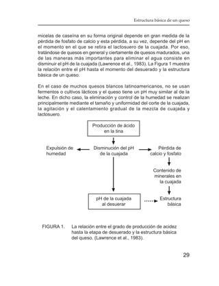 Estructura básica de un queso


micelas de caseína en su forma original depende en gran medida de la
pérdida de fosfato de calcio y esta pérdida, a su vez, depende del pH en
el momento en el que se retira el lactosuero de la cuajada. Por eso,
tratándose de quesos en general y ciertamente de quesos madurados, una
de las maneras más importantes para eliminar el agua consiste en
disminuir el pH de la cuajada (Lawrence et al., 1983). La Figura 1 muestra
la relación entre el pH hasta el momento del desuerado y la estructura
básica de un queso.

En el caso de muchos quesos blancos latinoamericanos, no se usan
fermentos o cultivos lácticos y el queso tiene un pH muy similar al de la
leche. En dicho caso, la eliminación y control de la humedad se realizan
principalmente mediante el tamaño y uniformidad del corte de la cuajada,
la agitación y el calentamiento gradual de la mezcla de cuajada y
lactosuero.

                          Producción de ácido
                               en la tina


    Expulsión de           Disminución del pH              Pérdida de
    humedad                   de la cuajada            calcio y fosfato


                                                         Contenido de
                                                         minerales en
                                                           la cuajada


                            pH de la cuajada                Estructura
                              al desuerar                       básica



  FIGURA 1.     La relación entre el grado de producción de acidez
                hasta la etapa de desuerado y la estructura básica
                del queso. (Lawrence et al., 1983).


                                                                          29
 