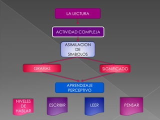 LA LECTURA



                    ACTIVIDAD COMPLEJA


                       ASIMILACION
                            DE
                        SIMBOLOS


          GRAFIAS                              SIGNIFICADO



                           APRENDIZAJE
                           PERCEPTIVO

NIVELES
  DE            ESCRIBIR                LEER            PENSAR
HABLAR
 