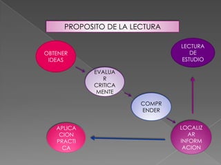 PROPOSITO DE LA LECTURA

                                LECTURA
OBTENER                            DE
 IDEAS                          ESTUDIO

             EVALUA
                R
             CRITICA
              MENTE

                        COMPR
                        ENDER


   APLICA                       LOCALIZ
    CION                           AR
   PRACTI                       INFORM
     CA                          ACION
 