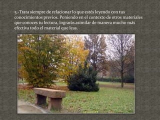  5.-Trata siempre de relacionar lo que estés leyendo con tus
conocimientos previos. Poniendo en el contexto de otros materiales
que conoces tu lectura, lograrás asimilar de manera mucho más
efectiva todo el material que leas.
LA LECTURA
 