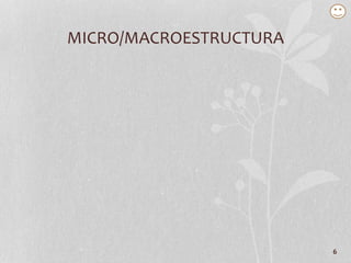 6
MICRO/MACROESTRUCTURA
 