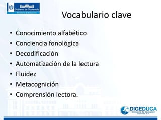 Vocabulario clave
• Conocimiento alfabético
• Conciencia fonológica
• Decodificación
• Automatización de la lectura
• Fluidez
• Metacognición
• Comprensión lectora.
 
