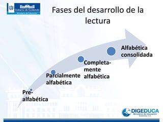 Fases del desarrollo de la
lectura
Pre-
alfabética
Parcialmente
alfabética
Completa-
mente
alfabética
Alfabética
consolidada
 