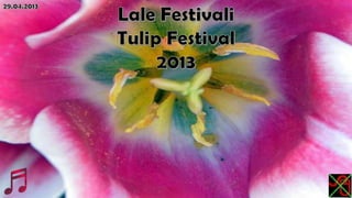 Lale festivali,tulip festival 2013