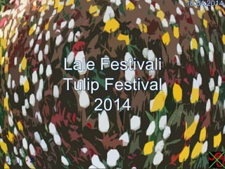 Lale Festivali,Tulip Festival 2014