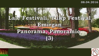Lale Festivali, Tulip Festival, Emirgan, Panorama, Panoramic (3)