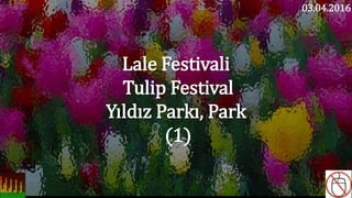 Lale Festivali
Tulip Festival
Yıldız Parkı, Park
(1)
03.04.2016
 