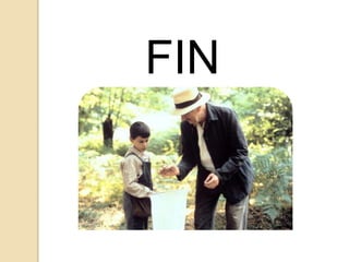 FIN
 