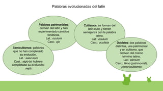 Palabras patrimoniales:
derivan del latín y han
experimentado cambios
fonéticos.
Lat.: oculum
Cast.: ojo
Cultismos: se forman del
latín culto y tienen
semejanza con la palabra
latina.
Lat.: oculum
Cast.: oculista
Semicultismos: palabras
que no han completado
su evolución.
Lat.: saeculum
Cast.: siglo (si hubiera
completado su evolución:
sejo)
Dobletes: dos palabras
distintas, una patrimonial
y un cultismo, que
derivan del mismo
término latino.
Lat.: plenum
Cast.: lleno (patrimonial),
pleno (cultismo)
Palabras evolucionadas del latín
 