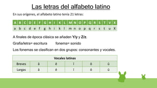 Las letras del alfabeto latino
En sus orígenes, el alfabeto latino tenía 21 letras:
A finales de época clásica se añaden Y/y y Z/z.
Grafía/letra= escritura fonema= sonido
Los fonemas se clasifican en dos grupos: consonantes y vocales.
A B C D E F G H I K L M N O P Q R S T V X
a b c d e f g h i k l m n o p q r s t u X
Vocales latinas
Breves ă ĕ ĭ ŏ ŭ
Largas ā ē ī ō ū
 