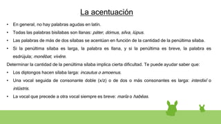La acentuación
• En general, no hay palabras agudas en latín.
• Todas las palabras bisílabas son llanas: páter, dómus, sílva, lúpus.
• Las palabras de más de dos sílabas se acentúan en función de la cantidad de la penúltima sílaba.
• Si la penúltima sílaba es larga, la palabra es llana, y si la penúltima es breve, la palabra es
esdrújula; monēbat, vívĕre.
Determinar la cantidad de la penúltima sílaba implica cierta dificultad. Te puede ayudar saber que:
• Los diptongos hacen sílaba larga: incautus o amoenus.
• Una vocal seguida de consonante doble (x/z) o de dos o más consonantes es larga: interdixī o
inlūstris.
• La vocal que precede a otra vocal siempre es breve: marĭa o habĕas.
 