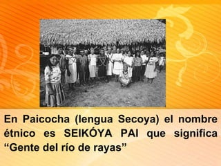 En Paicocha (lenguaSecoya) el nombreétnicoes SEIKÓYA PAI quesignifica “Gente del río de rayas”