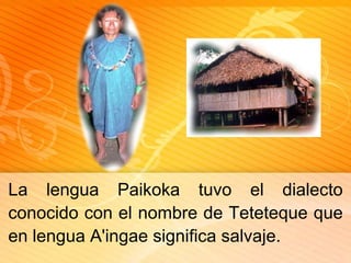 La lenguaPaikokatuvo el dialectoconocido con el nombre de Tetetequeque en lenguaA'ingaesignificasalvaje.
