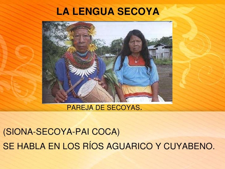 Resultado de imagen para Grupo Etnico Secoya: