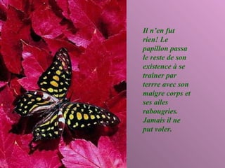 Il n’en fut rien! Le papillon passa le reste de son existence à se traîner par terrre avec son maigre corps et ses ailes rabougries. Jamais il ne put voler.   
