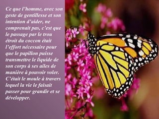 Ce que l’homme, avec son geste de gentillesse et son intention d’aider, ne comprenait pas, c’est que le passage par le trou étroit du coccon était l’effort nécessaire pour que le papillon puisse transmettre le liquide de son corps à ses ailes de manière à pouvoir voler. C’était le moule à travers lequel la vie le faisait passer pour grandir et se développer.  