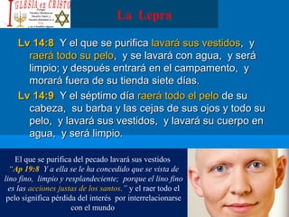 La Lepra
Lv 14:8Lv 14:8 Y el que se purificaY el que se purifica lavará sus vestidoslavará sus vestidos, y, y
raerá todo su peloraerá todo su pelo, y se lavará con agua, y será, y se lavará con agua, y será
limpio; y después entrará en el campamento, ylimpio; y después entrará en el campamento, y
morará fuera de su tienda siete días.morará fuera de su tienda siete días.
Lv 14:9Lv 14:9 Y el séptimo díaY el séptimo día raerá todo el peloraerá todo el pelo de sude su
cabeza, su barba y las cejas de sus ojos y todo sucabeza, su barba y las cejas de sus ojos y todo su
pelo, y lavará sus vestidos, y lavará su cuerpo enpelo, y lavará sus vestidos, y lavará su cuerpo en
agua, y será limpio.agua, y será limpio.
El que se purifica del pecado lavará sus vestidos
“Ap 19:8 Y a ella se le ha concedido que se vista de
lino fino, limpio y resplandeciente; porque el lino fino
es las acciones justas de los santos.” y el raer todo el
pelo significa pérdida del interés por interrelacionarse
con el mundo
 