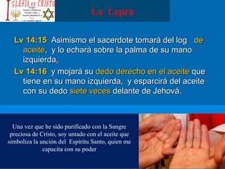 La Lepra
Lv 14:15Lv 14:15 Asimismo el sacerdote tomará del logAsimismo el sacerdote tomará del log dede
aceiteaceite, y lo echará sobre la palma de su mano, y lo echará sobre la palma de su mano
izquierda,izquierda,
Lv 14:16Lv 14:16 y mojará suy mojará su dedo derecho en el aceitededo derecho en el aceite queque
tiene en su mano izquierda, y esparcirá del aceitetiene en su mano izquierda, y esparcirá del aceite
con su dedocon su dedo siete vecessiete veces delante de Jehová.delante de Jehová.
Una vez que he sido purificado con la Sangre
preciosa de Cristo, soy untado con el aceite que
simboliza la unción del Espíritu Santo, quien me
capacita con su poder
 