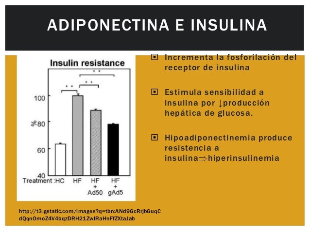La leptina y la adiponectina La leptina y la adiponectina