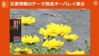 ĺΥǩ`ͥ`Х쥤ʾ 7
 