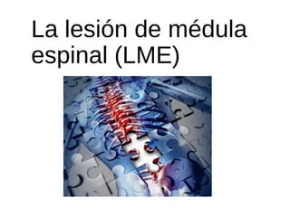 La lesión de médula
espinal (LME)
 