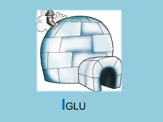 IGLU
 
