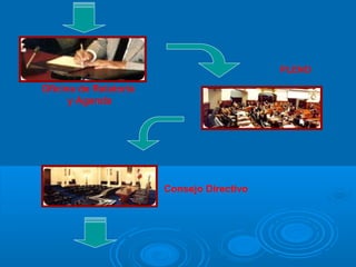 Consejo Directivo
PLENO
Oficina de Relatoría
y Agenda
 