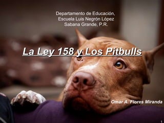 La Ley 158 y Los Pitbulls Omar A. Flores Miranda Departamento de Educación,  Escuela Luis Negrón López Sabana Grande, P.R. 