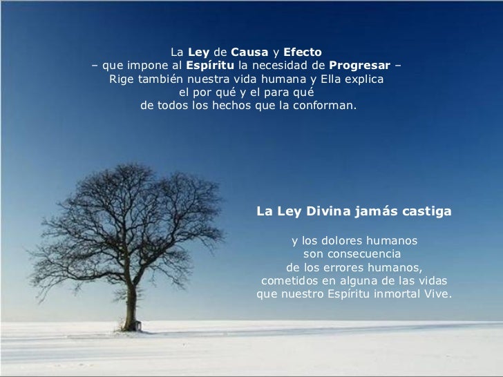 Resultado de imagen de Ley de causa y efecto