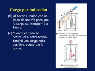 Carga por inducción Al tocar el bulbo con un dedo da una vía para que la carga se transporte a tierra.  Cuando el dedo se retira, el electroscopio tendrá una carga neta positiva, opuesta a la barra.  