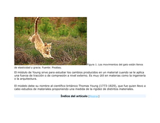 Figura 1. Los movimientos del gato están llenos
de elasticidad y gracia. Fuente: Pixabay.
El módulo de Young sirve para estudiar los cambios producidos en un material cuando se le aplica
una fuerza de tracción o de compresión a nivel externo. Es muy útil en materias como la ingeniería
o la arquitectura.
El modelo debe su nombre al científico británico Thomas Young (1773-1829), que fue quien llevo a
cabo estudios de materiales proponiendo una medida de la rigidez de distintos materiales.
Índice del artículo [Mostrar]
 