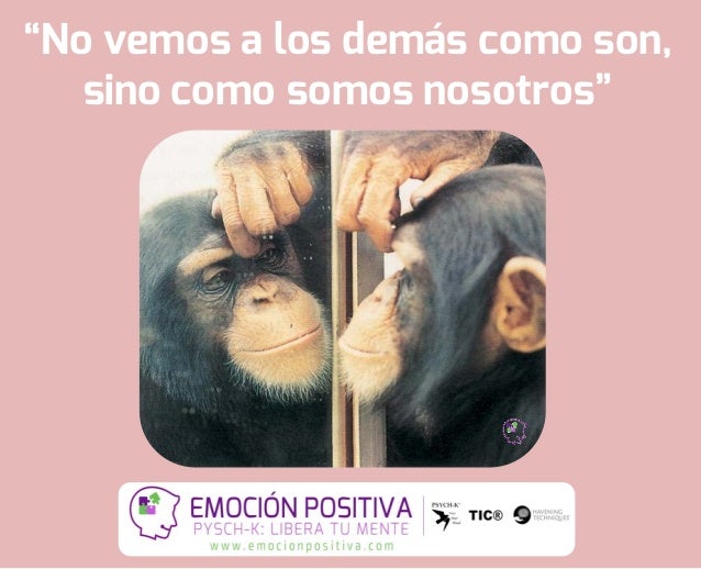 LA LEY DEL ESPEJO