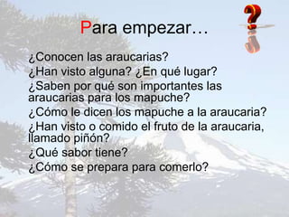 Para empezar…
¿Conocen las araucarias?
¿Han visto alguna? ¿En qué lugar?
¿Saben por qué son importantes las
araucarias para los mapuche?
¿Cómo le dicen los mapuche a la araucaria?
¿Han visto o comido el fruto de la araucaria,
llamado piñón?
¿Qué sabor tiene?
¿Cómo se prepara para comerlo?
 