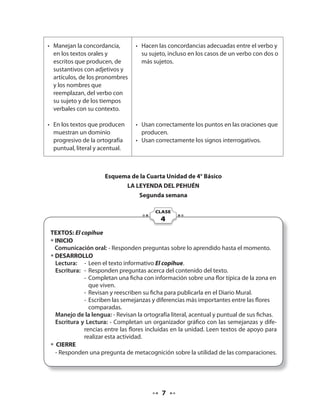 • Manejan la concordancia, 
en los textos orales y 
escritos que producen, de 
sustantivos con adjetivos y 
artículos, de los pronombres 
y los nombres que 
reemplazan, del verbo con 
su sujeto y de los tiempos 
verbales con su contexto. 
• En los textos que producen 
muestran un dominio 
progresivo de la ortografía 
puntual, literal y acentual. 
• Hacen las concordancias adecuadas entre el verbo y 
su sujeto, incluso en los casos de un verbo con dos o 
más sujetos. 
• Usan correctamente los puntos en las oraciones que 
producen. 
• Usan correctamente los signos interrogativos. 
Esquema de la Cuarta Unidad de 4° Básico 
LA LEYENDA DEL PEHUÉN 
Segunda semana 
CLASE 
4 
TEXTOS: El copihue 
• INICIO 
Comunicación oral: - Responden preguntas sobre lo aprendido hasta el momento. 
• DESARROLLO 
Lectura: - Leen el texto informativo El copihue. 
Escritura: - Responden preguntas acerca del contenido del texto. 
- Completan una ficha con información sobre una flor típica de la zona en 
que viven. 
- Revisan y reescriben su ficha para publicarla en el Diario Mural. 
- Escriben las semejanzas y diferencias más importantes entre las flores 
comparadas. 
Manejo de la lengua: - Revisan la ortografía literal, acentual y puntual de sus fichas. 
Escritura y Lectura: - Completan un organizador gráfico con las semejanzas y dife-rencias 
entre las flores incluidas en la unidad. Leen textos de apoyo para 
realizar esta actividad. 
• CIERRE 
- Responden una pregunta de metacognición sobre la utilidad de las comparaciones. 
 