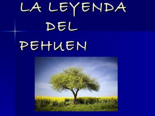 LA LEYENDA    DEL PEHUEN 